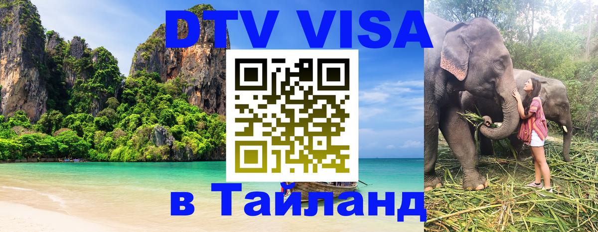 Сколько стоит DTV виза — актуальные цены, оформление даже без документов - Вашингтон 